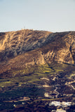 Greek Vinyard