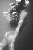Endless Summer