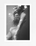 Endless Summer