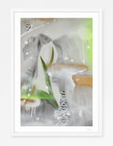Imagine the Flowers
