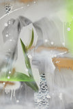 Imagine the Flowers