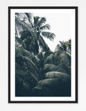 Maldives Jungle