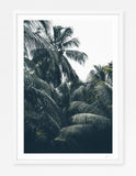 Maldives Jungle
