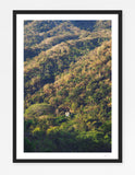 Yelapa Jungle