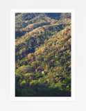 Yelapa Jungle