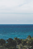 Puerto Rico Horizon